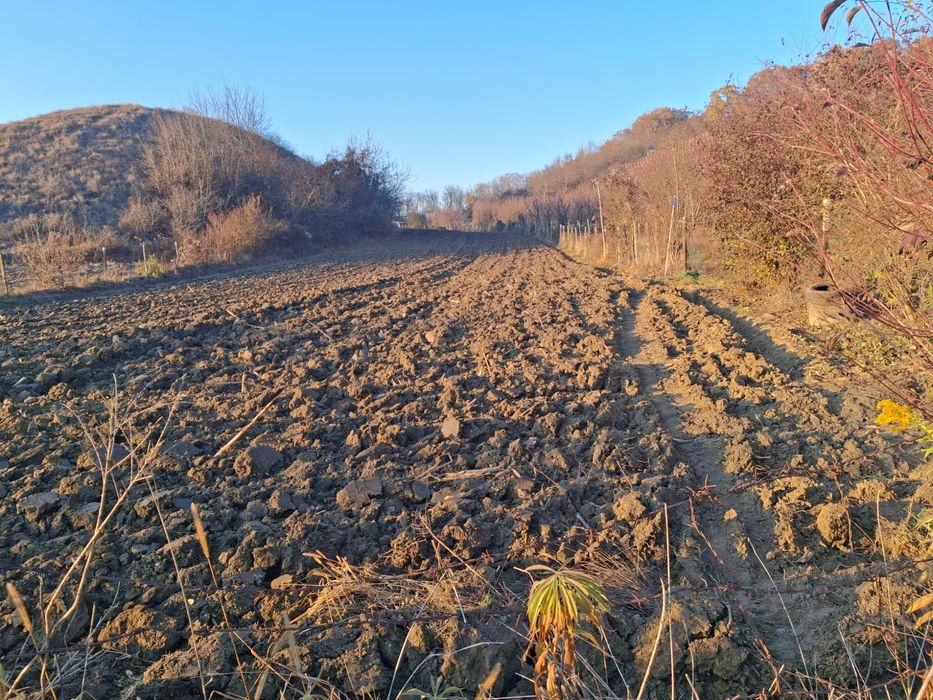 Vand teren la Corunca