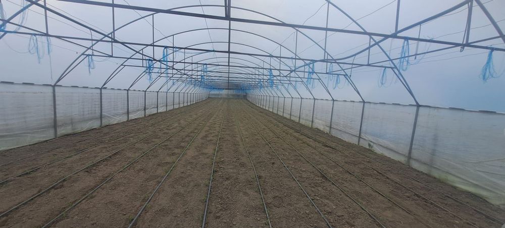 Solare de gradina profesionale 1000 m2