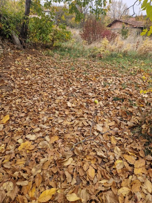УПИ в село Крушево на 5 км. от гр. Севлиево