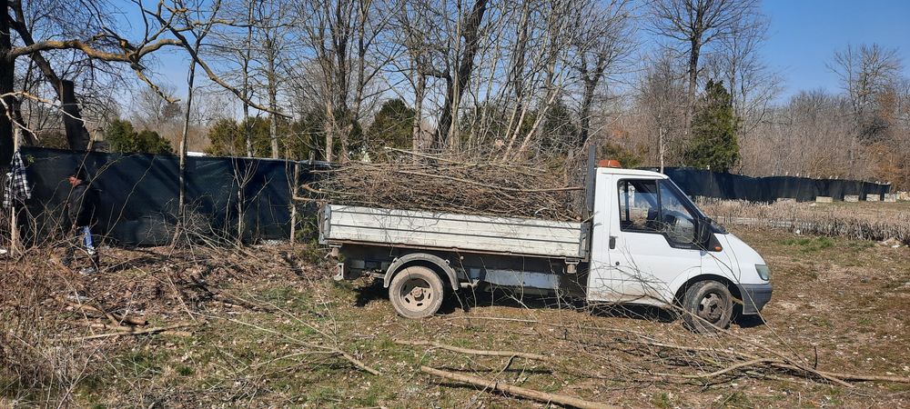 Debarasare mobila curatenie