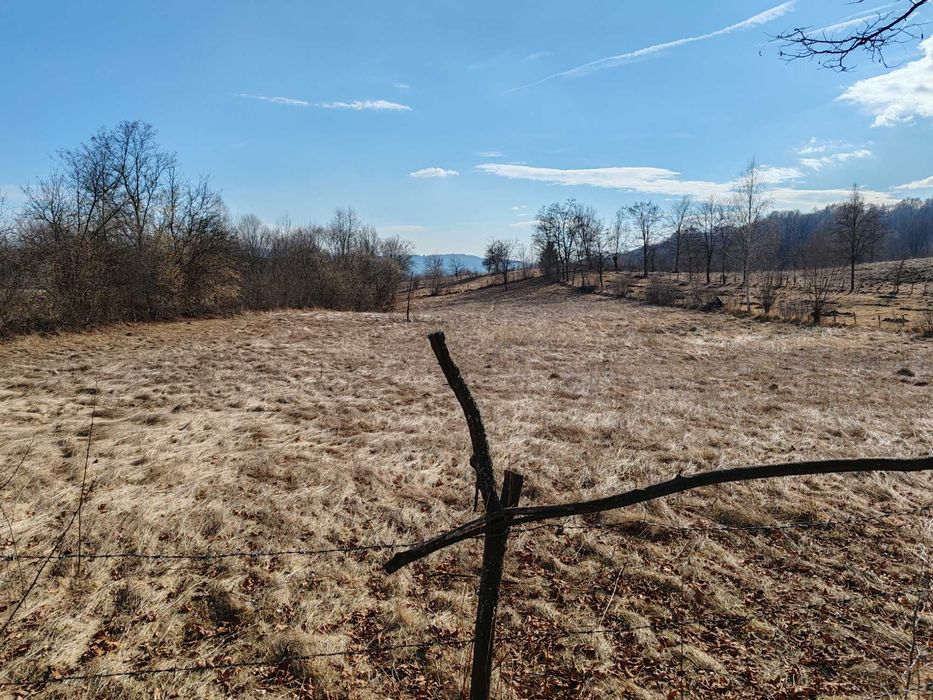 Vând 5000 mp in Albești / 10 km de Câmpulung Muscel