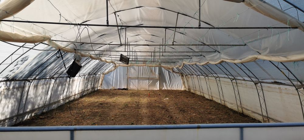 Teren intravilan de vânzare (FĂRĂ SOLAR)