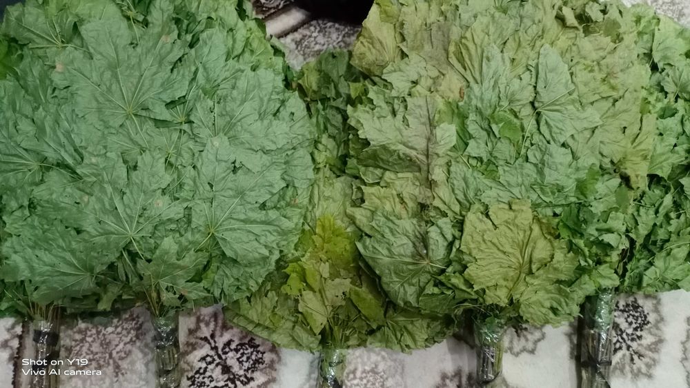 Мёд. Банные веники. Эфирные масла.