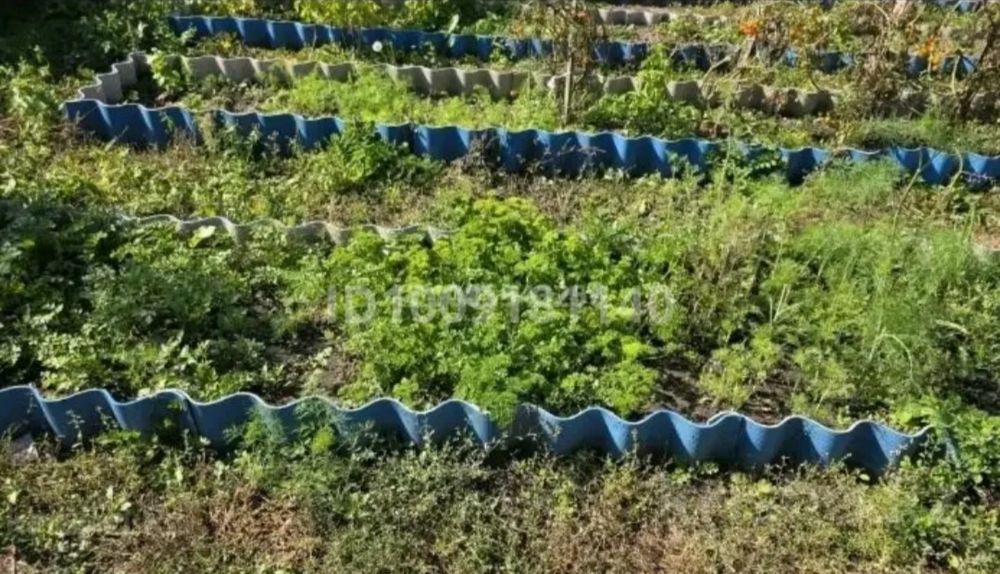 Продам дом.  Сад Яблонька