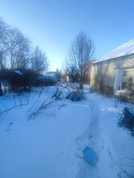 Продам дом селекционный