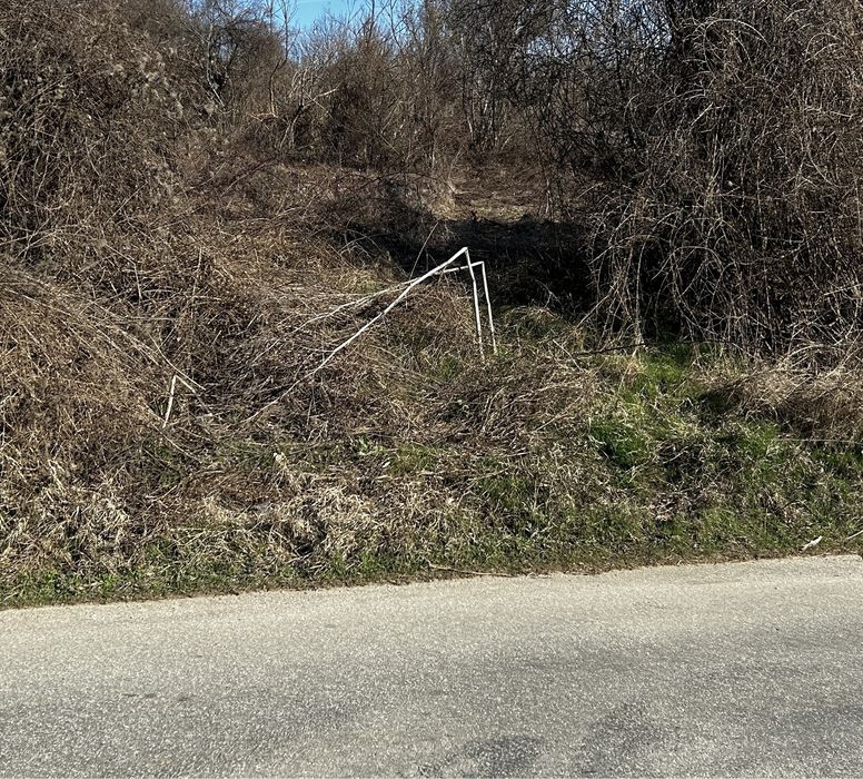 Продава се Парцел в Борово - 2484 кв.м за 3 €/кв.м - Снимка #2