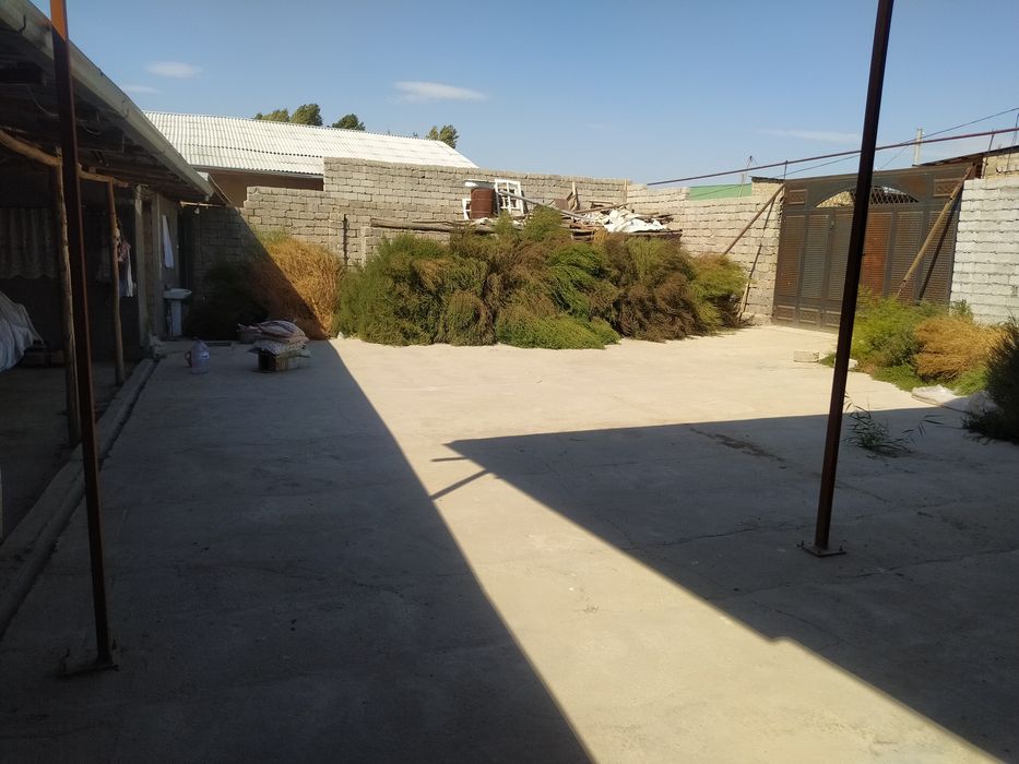 Uy joy sotiladi 6 sotih dakumentlari joyida zangiota tumanida bosuda