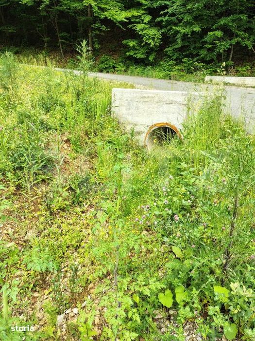 Teren zona de munte 1800 mp, cu apa de izvor, la Somesu Rece