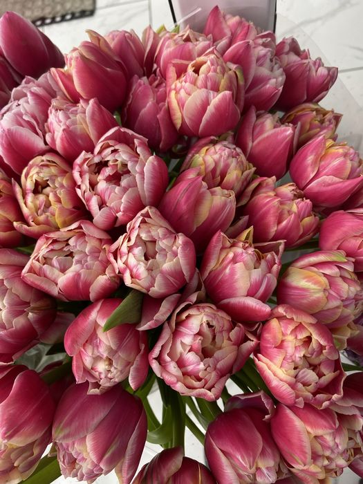 Цветы, тюльпаны,распродажа,