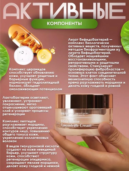 Manyo Bifida Biome Concentrate Cream