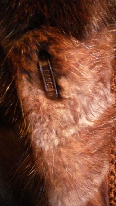 Haina blana naturala