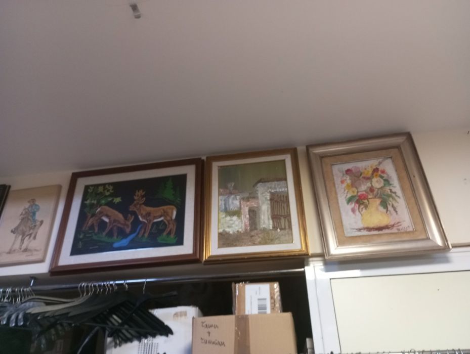 Разпродажба картини