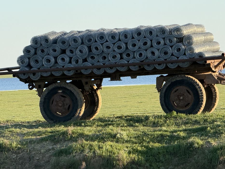 чабанка сетка сатылады