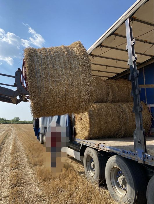 Baloti paie rotunzi 140/120