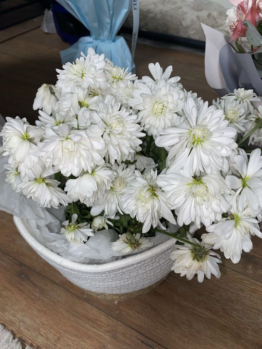 Цветы продам синяя и розовая