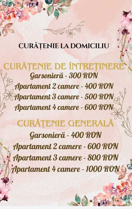 Curățenie la domiciliu-preț avantajos