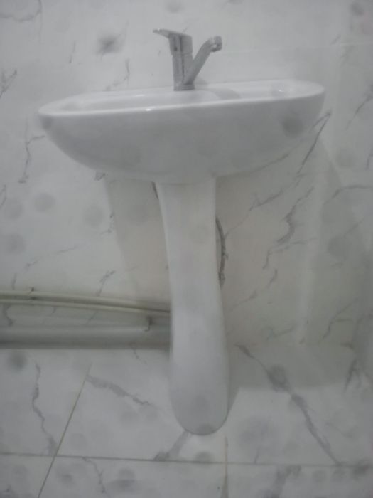 Раковина тюльпан