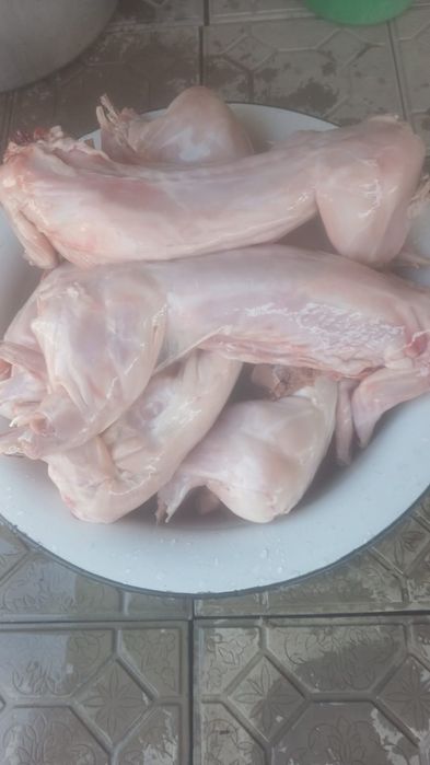 Мясо кролика домашнее
