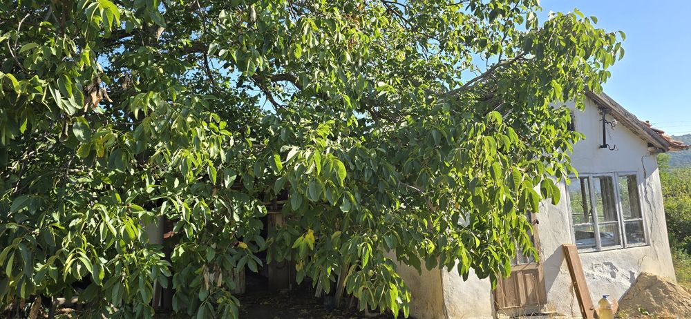 Продава се Къща в Варна, Младост 1 - 20 кв.м за 1750 €/кв.м - Снимка #4