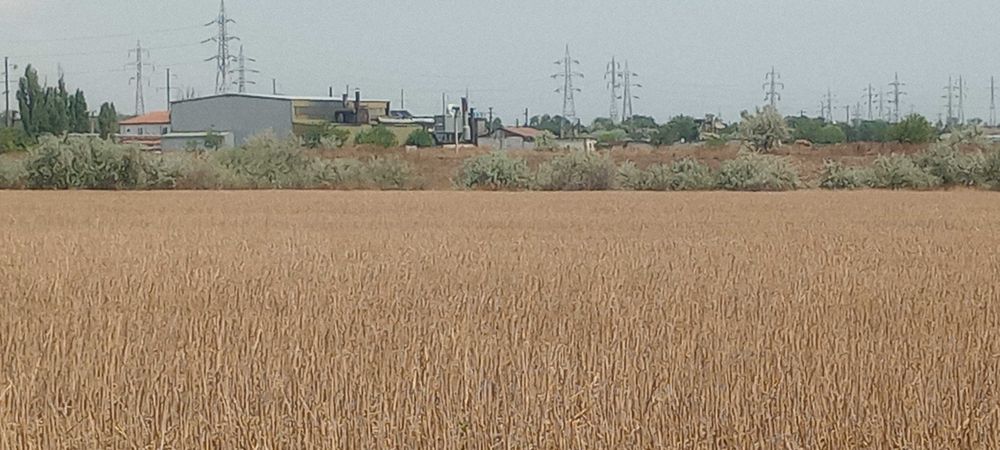 Teren extravilan Năvodari 8400 mp