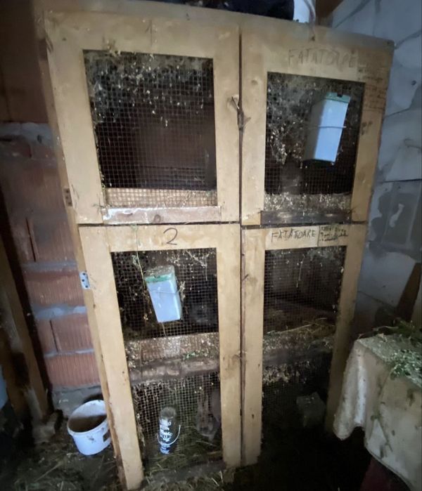 Disponibilă cușcă pentru iepuri !