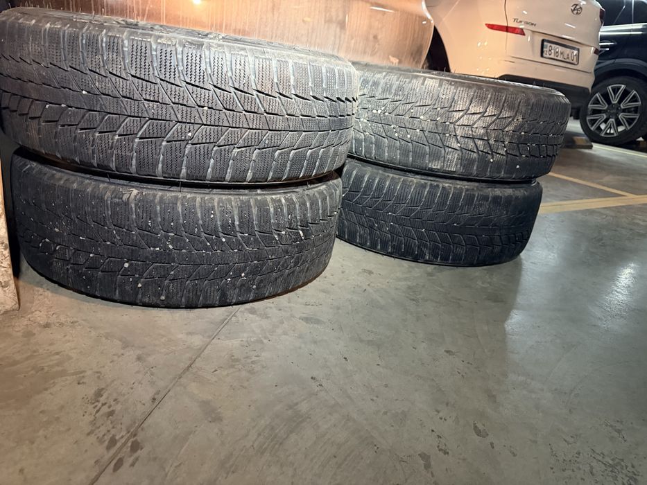 195:55 r16 шины Triangle