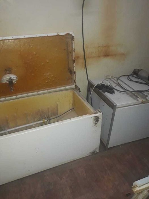 Продам перепелиную ферму