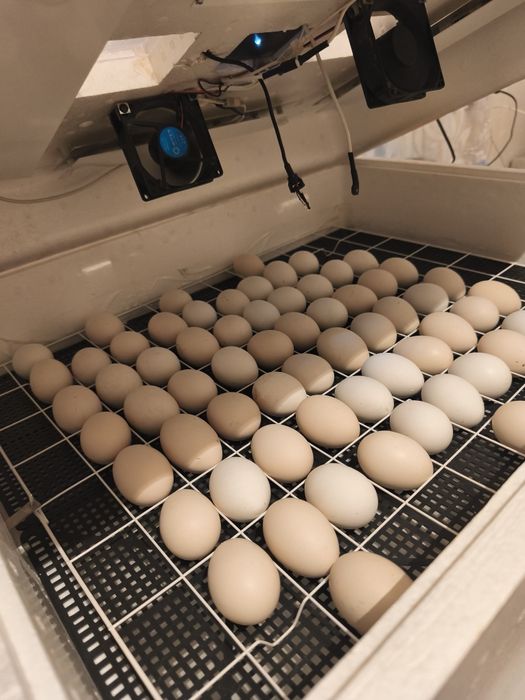 Продам продам продам продам