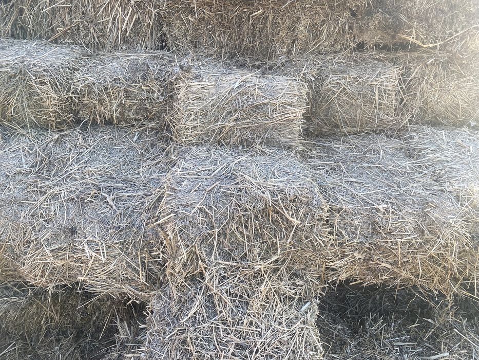 Сено люцерка и разнотравие