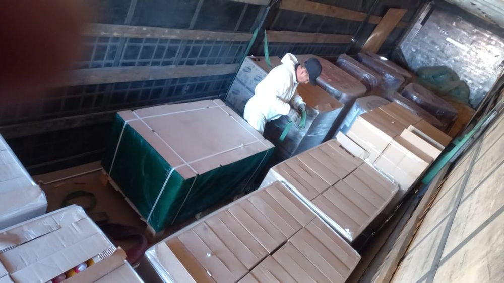 Доместос-1л россия