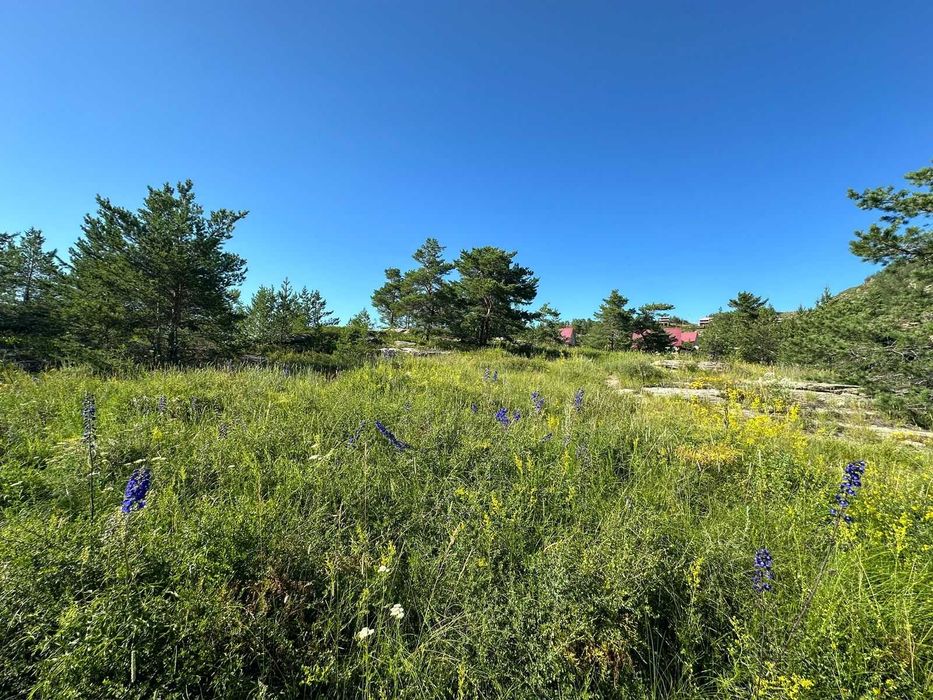 В продаже участок 6 соток г. Мохнатка