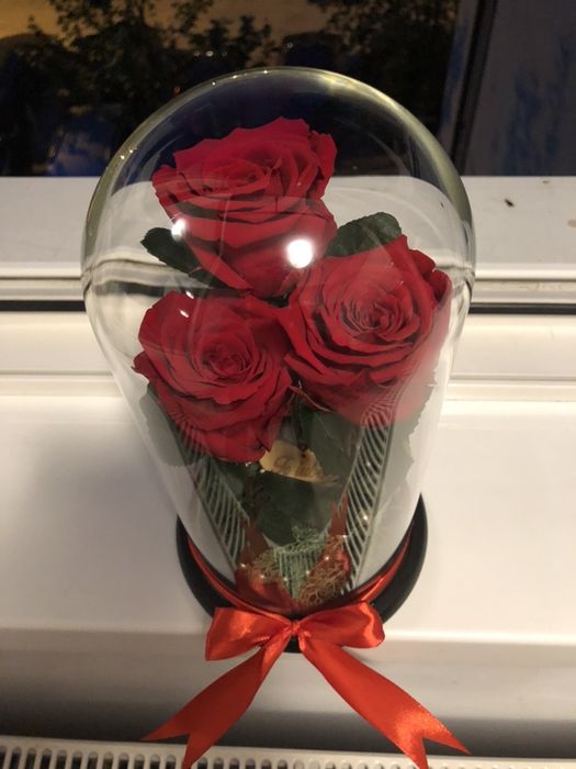 Trandafiri in cupola