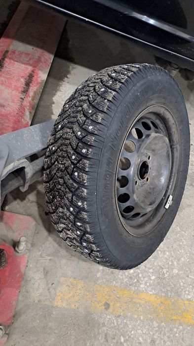 Тунга в хорошем состоянии