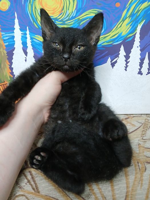 От дам мальчугана в хорошие руки