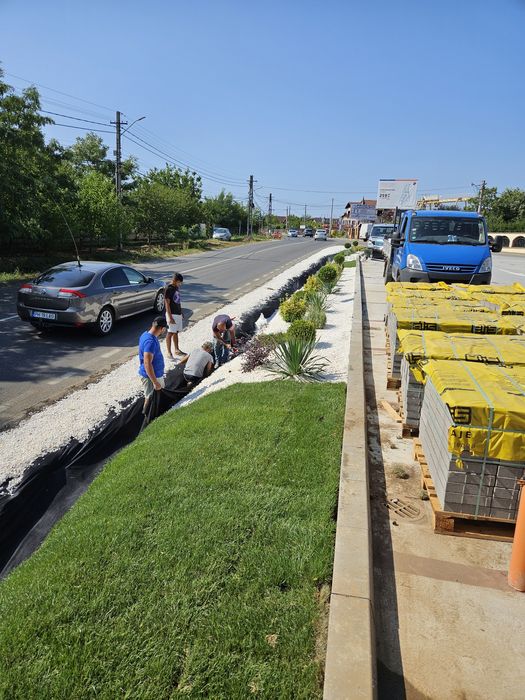 Plante ornamentale calitate extra amenajări grădini gazon rulou