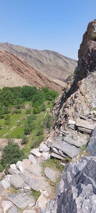 Бизнес режа. Зўр даромад кўриш режаси.