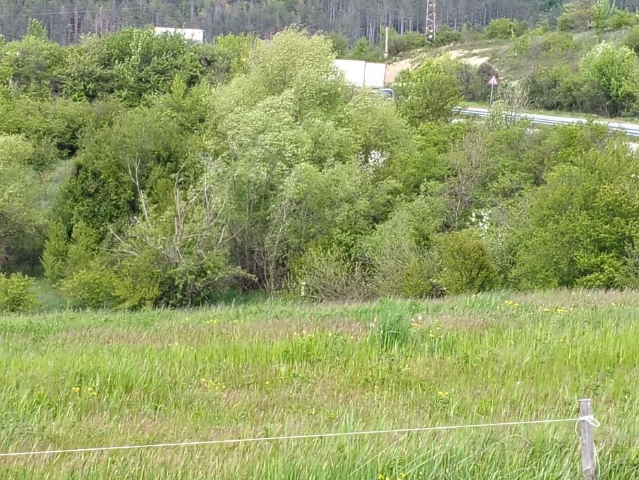 Продава се Земеделски имот в Дебелец -  кв.м за 7 €/дка - Снимка #5