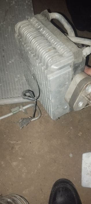 Matiz kandidsoner Матиз кандидсoнер