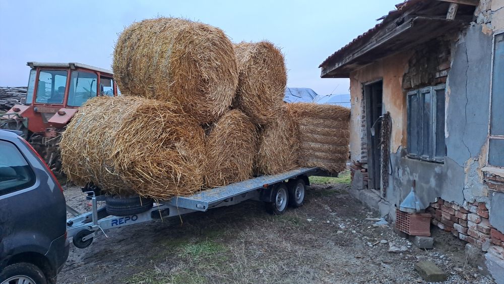 Vand baloti paie grau rotunzi120 x120