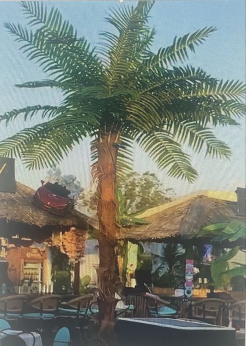 Искуственные пальмы на заказ