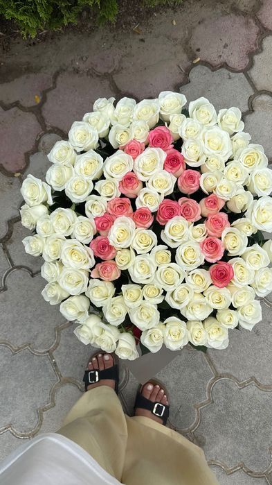 101 Роза цветы свежие