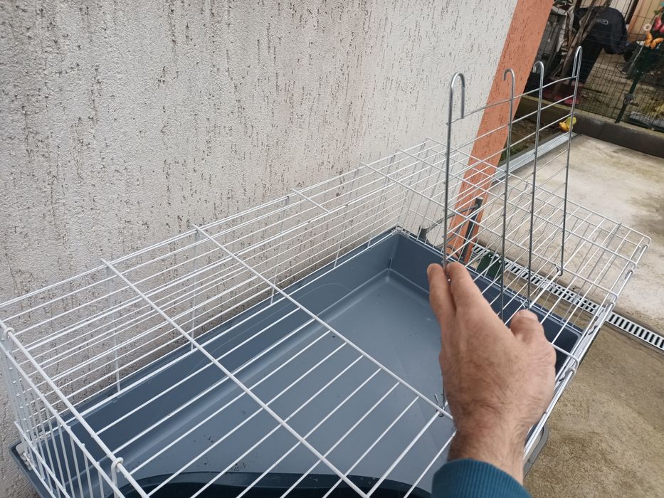 Iepuri pitici mini cap de leu si custi