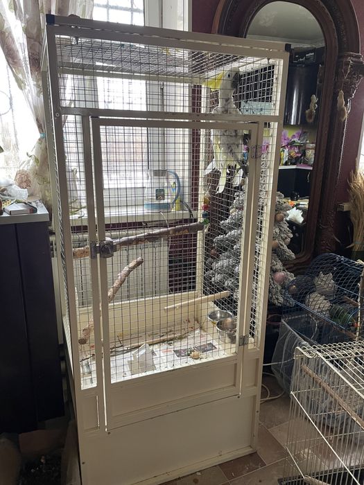 Большая клетка для разных попугаев