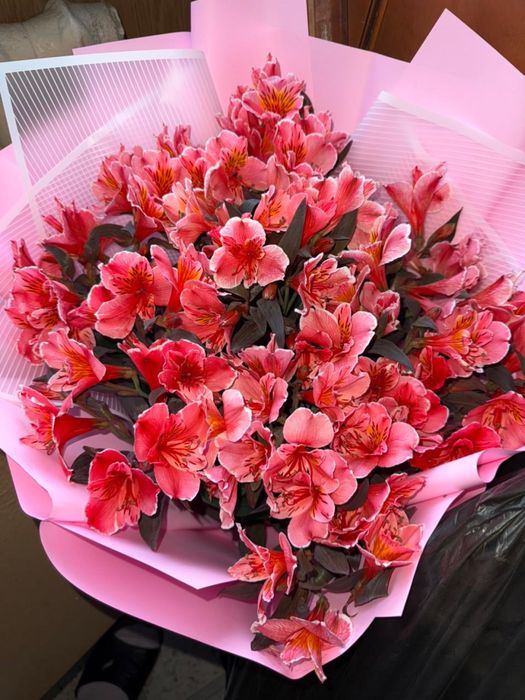 Продаю цветы за 4000тг