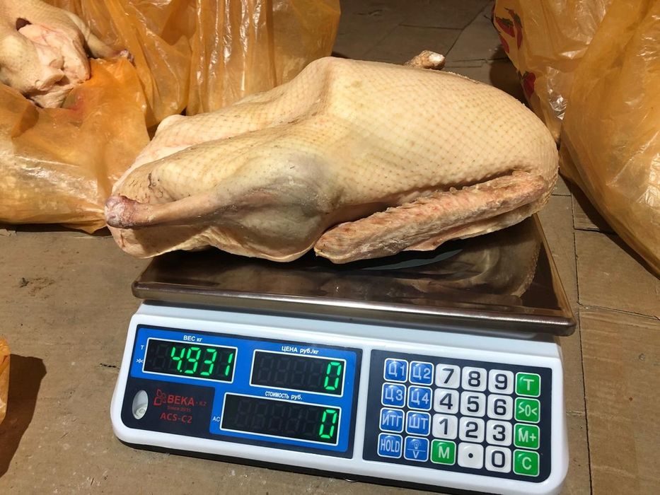 Мясо гусей / Гуси