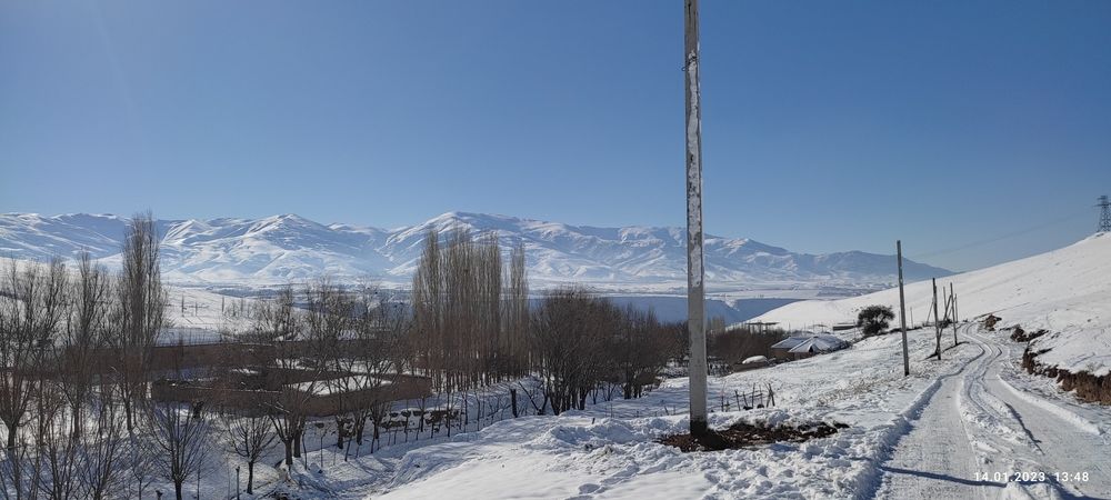 Stalba ornatish va joyidan kochirish