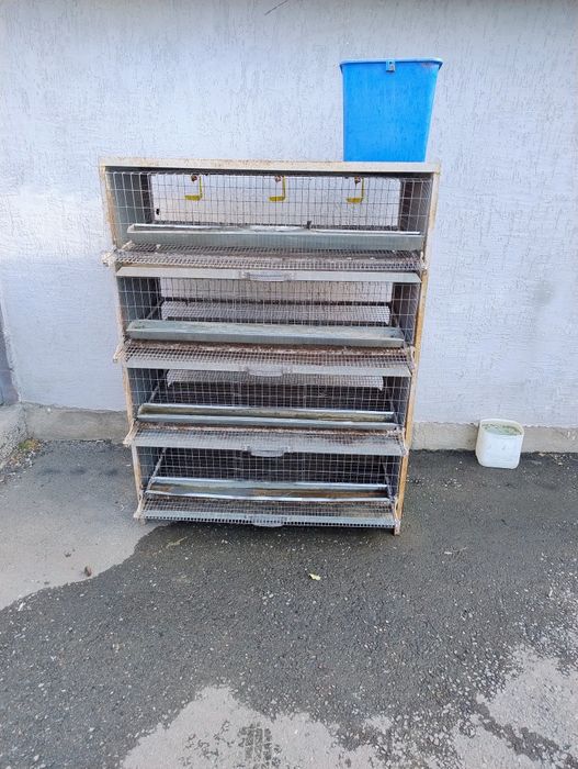 Клетка для перепелов