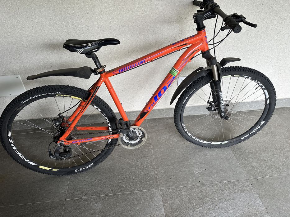 Bicicleta Bottecchia