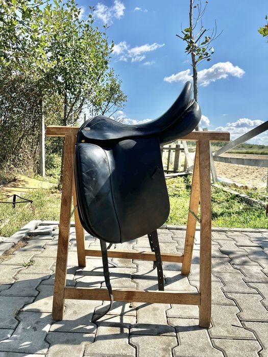 Sa dresaj Prestige Appaloosa