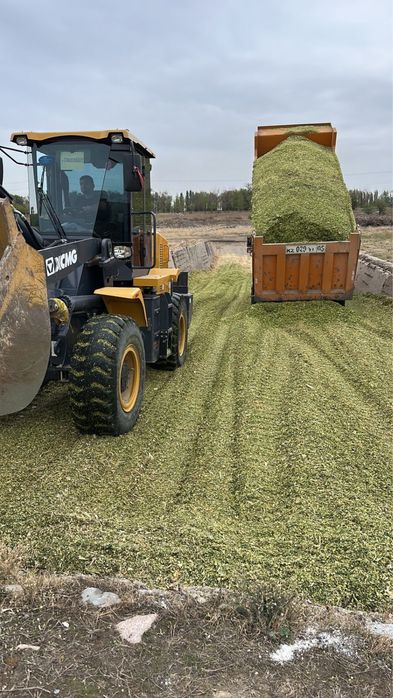 зерновой   силой